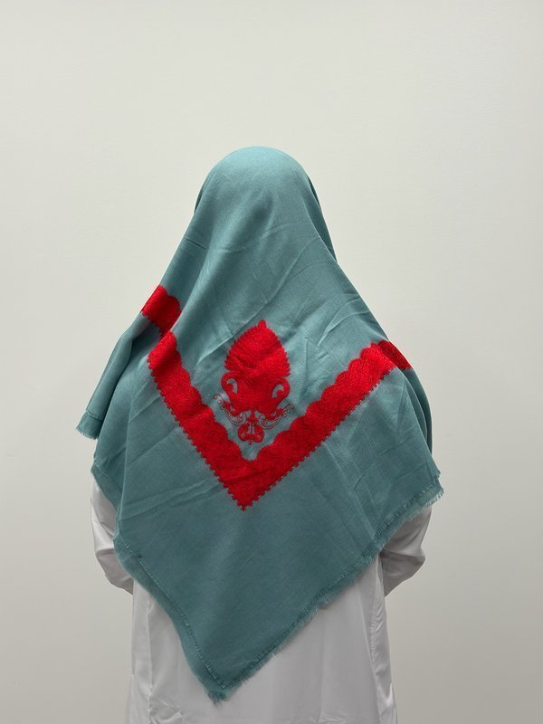 Aqua and Red